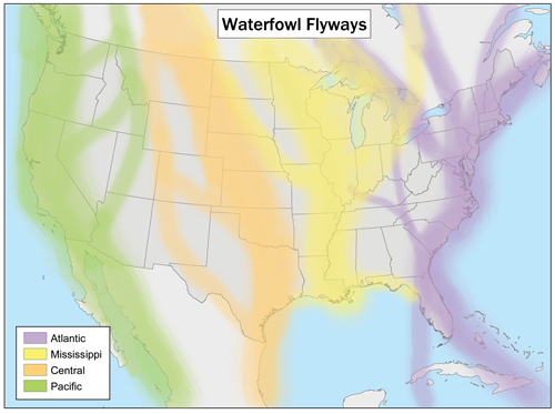 Waterfowl Flyway Map